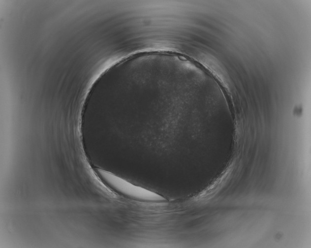 X0000097630797200803142023