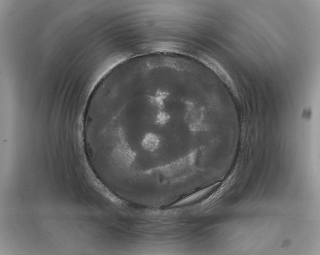 X0000097630798200803142023