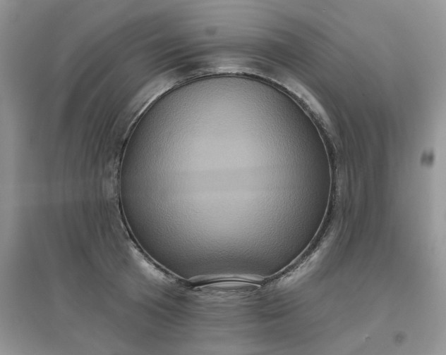 X0000097630801200803142023