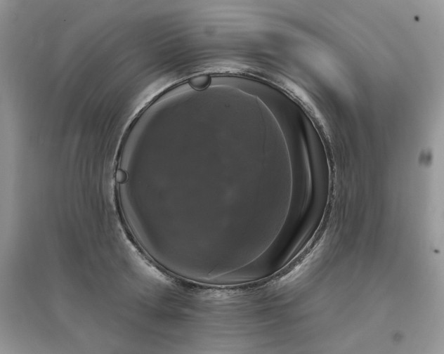 X0000097630802200803142023