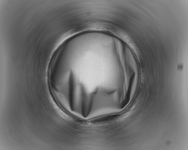 X0000097630803200803142023