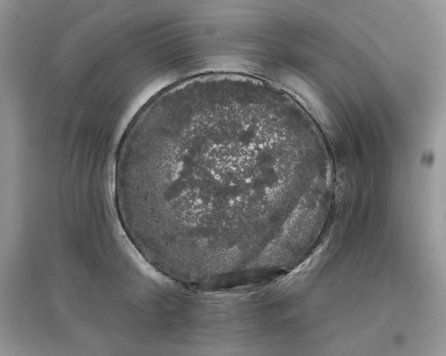 X0000097630804200803142023