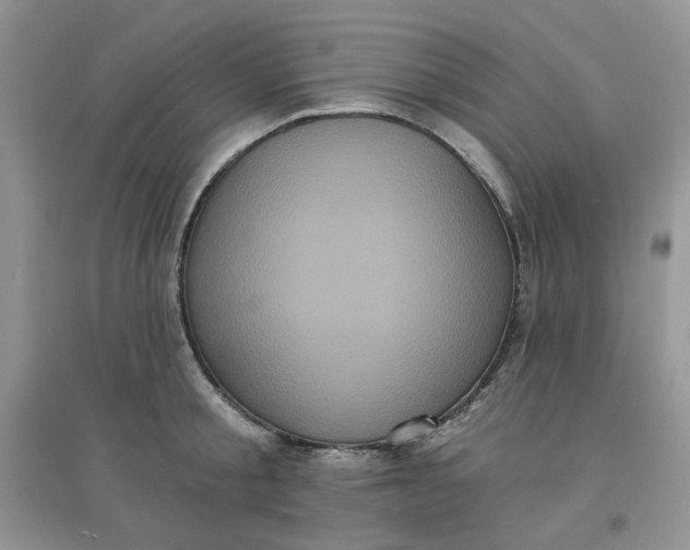 X0000097630805200803142023