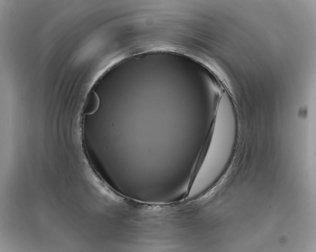 X0000097630806200803142023