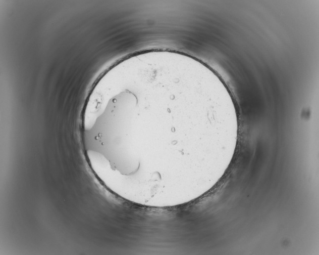 X0000097630807200803142023