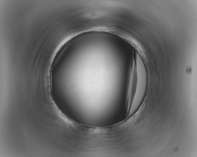 X0000097630808200803142023