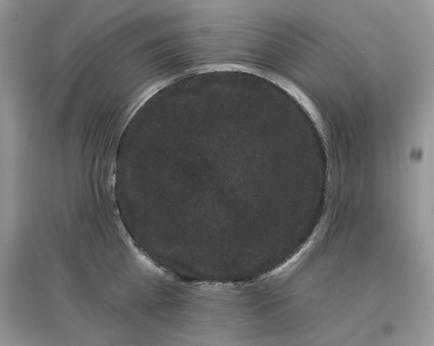 X0000097630809200803142023