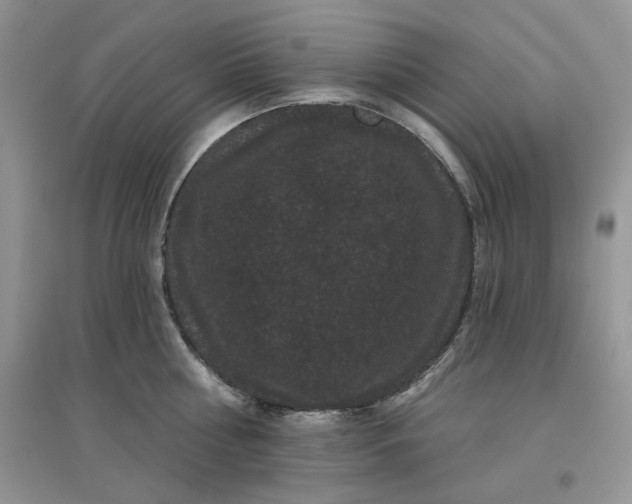 X0000097630810200803142023