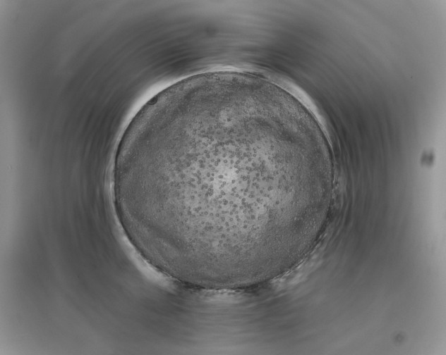 X0000097630811200803142023