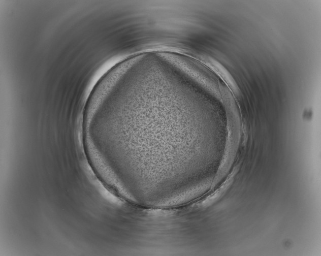 X0000097630812200803142023