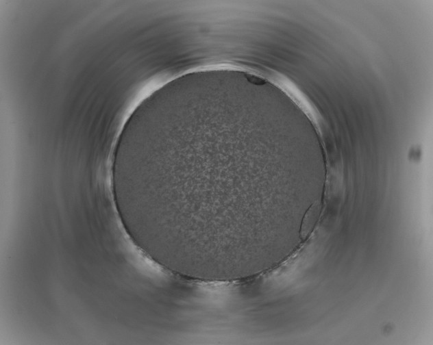 X0000097630813200803142023