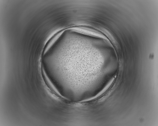 X0000097630814200803142023