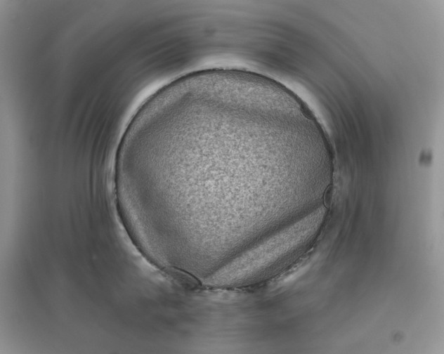 X0000097630815200803142023