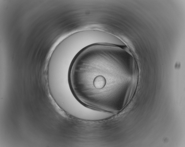 X0000097630816200803142023