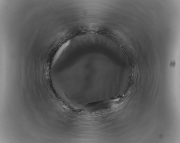 X0000097630818200803142022