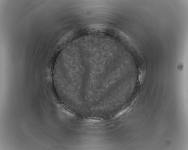 X0000097630819200803142022