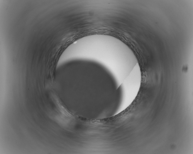 X0000097630820200803142022