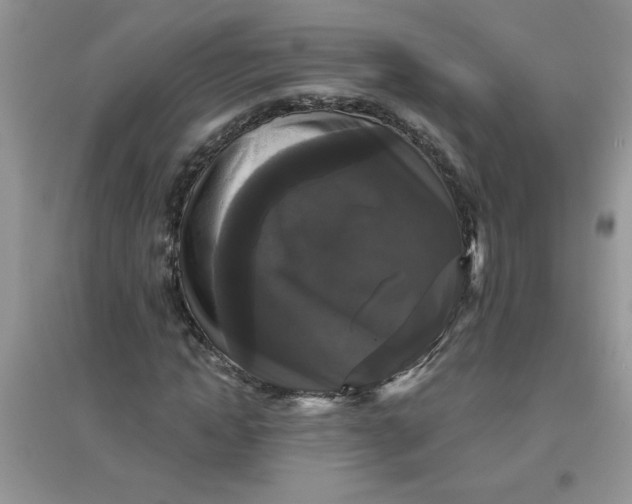 X0000097630822200803142022