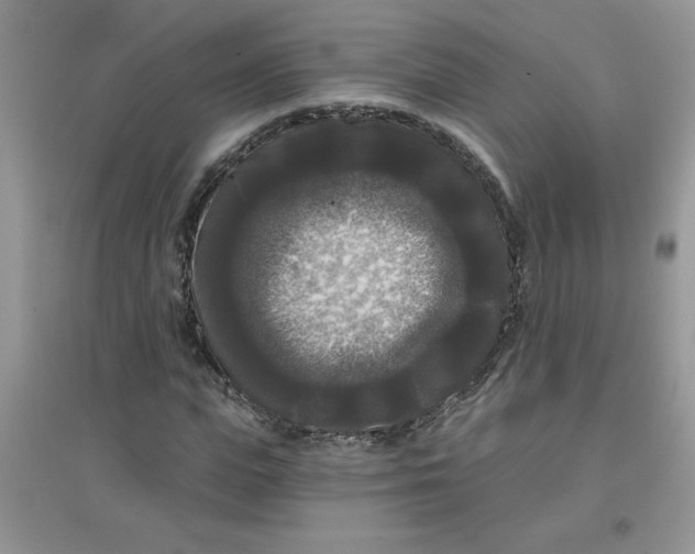 X0000097630823200803142022