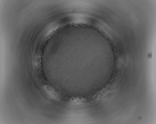 X0000097630824200803142022