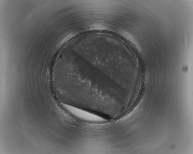 X0000097630825200803142022