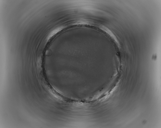 X0000097630826200803142022