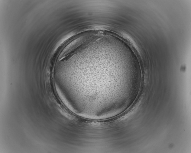 X0000097630827200803142022