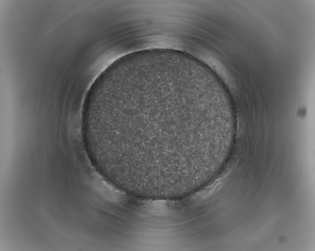 X0000097630828200803142022