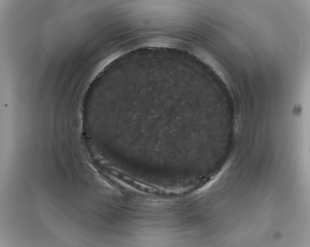 X0000097630829200803142022