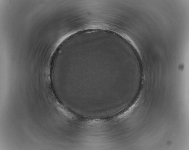 X0000097630830200803142022