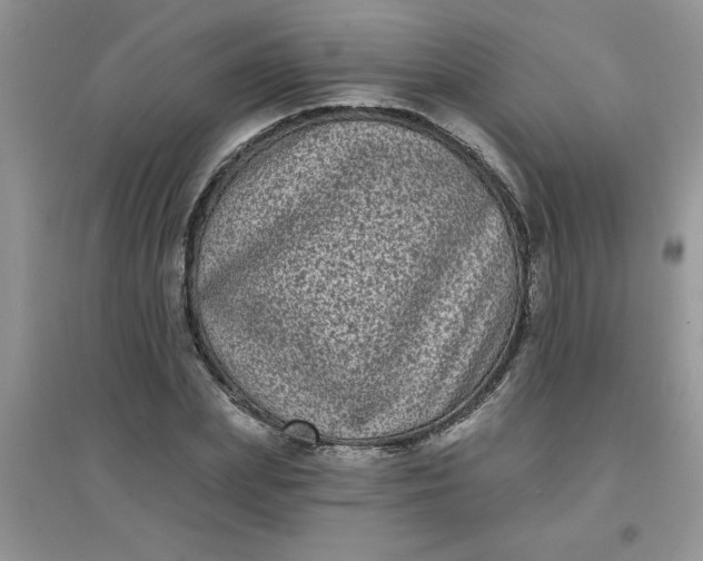 X0000097630831200803142023