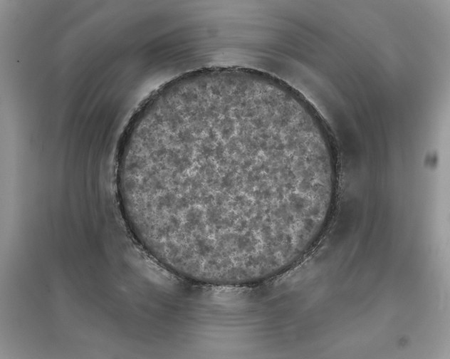 X0000097630832200803142023