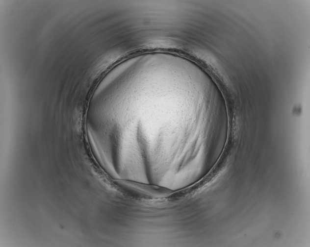 X0000097630833200803142023