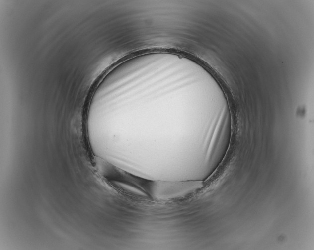 X0000097630834200803142023