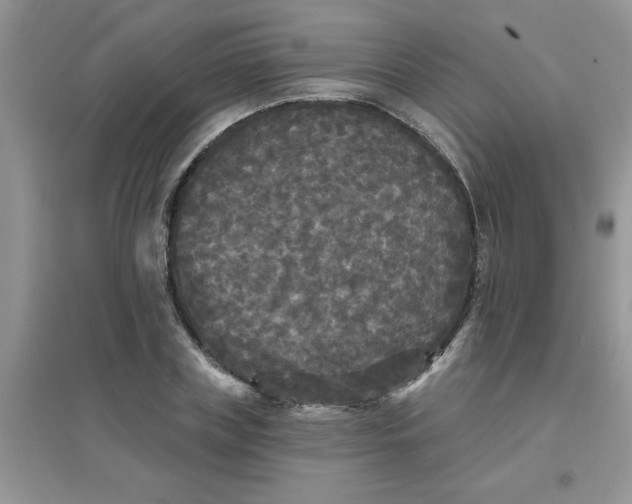 X0000097630835200803142023