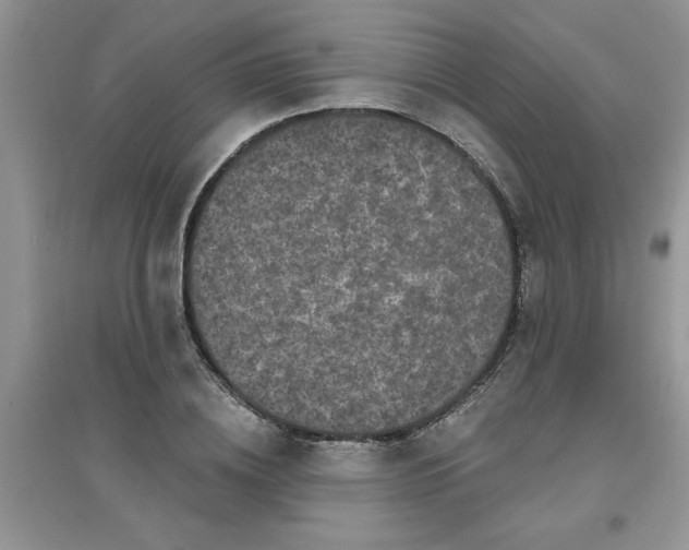 X0000097630836200803142023