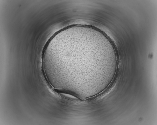 X0000097630837200803142023