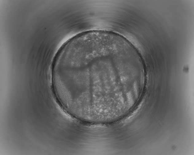 X0000097630838200803142023