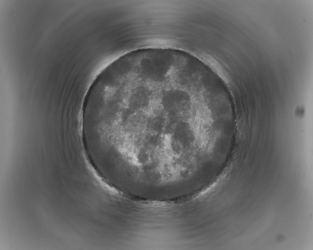 X0000097630839200803142023