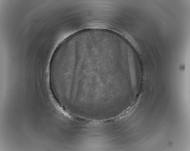 X0000097630840200803142023