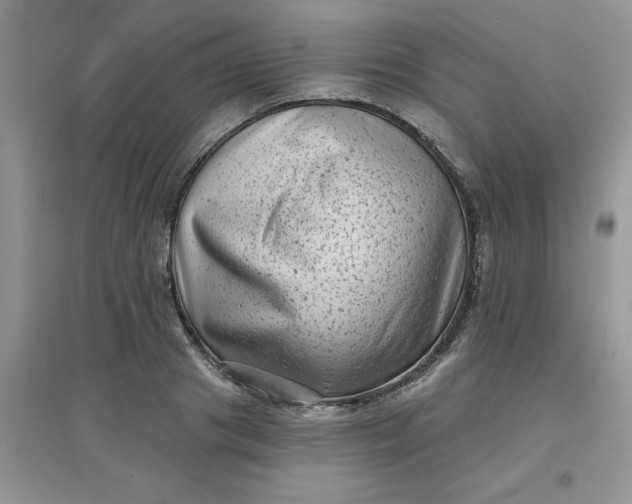 X0000097630841200803142023