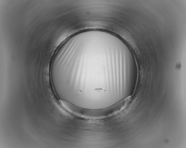 X0000097630842200803142023