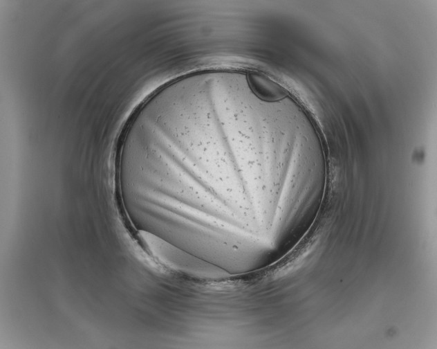 X0000097630843200803142023