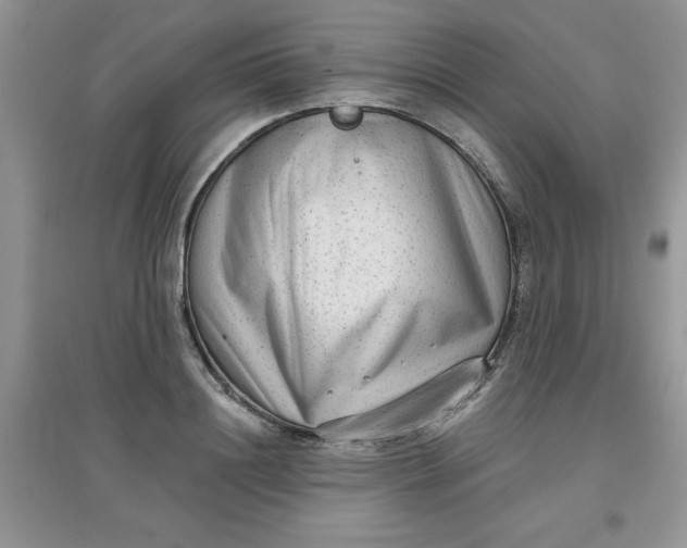 X0000097630844200803142023