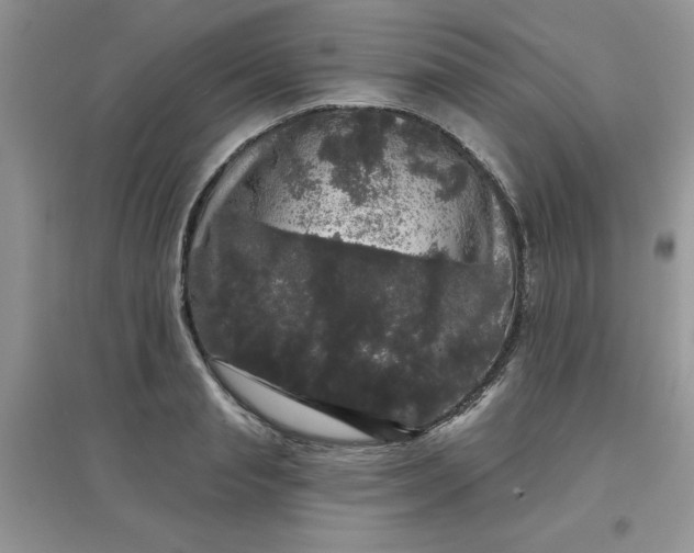 X0000097630845200803142023