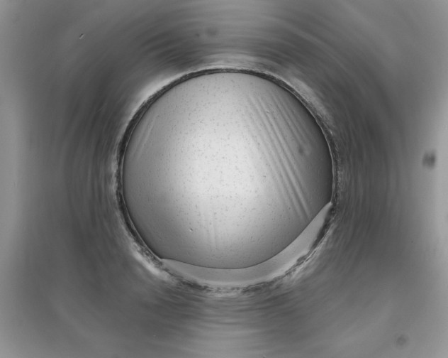 X0000097630846200803142023