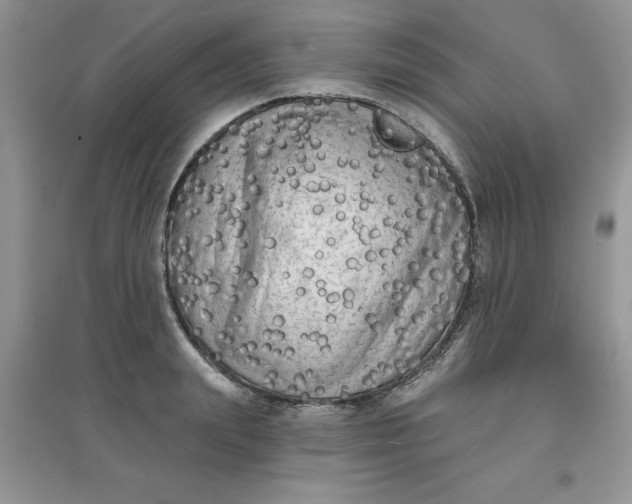 X0000097630847200803142023