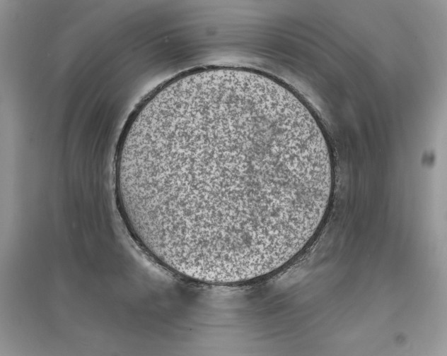 X0000097630848200803142023