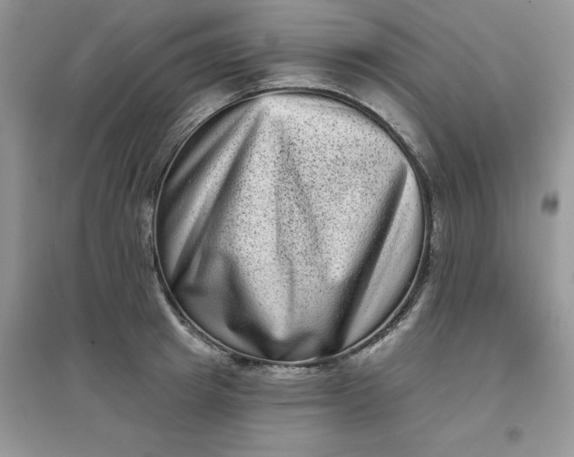 X0000097630849200803142023