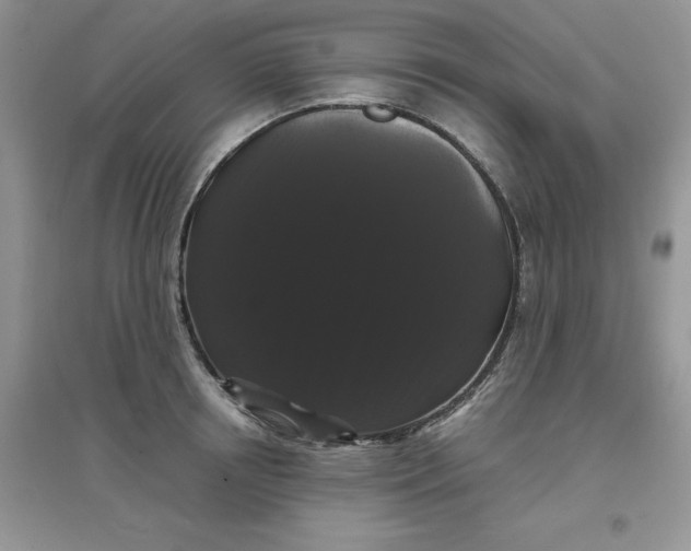 X0000097630850200803142023